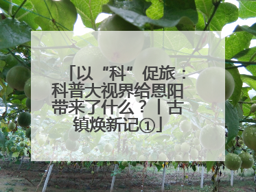 以“科”促旅：科普大视界给恩阳带来了什么？丨古镇焕新记①