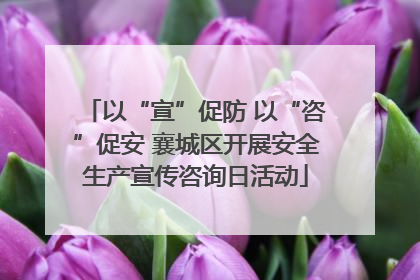 以“宣”促防 以“咨”促安 襄城区开展安全生产宣传咨询日活动