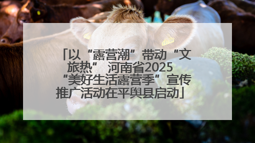 以“露营潮”带动“文旅热” 河南省2025“美好生活露营季”宣传推广活动在平舆县启动