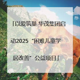 以爱筑巢 华茂集团启动2025“困难儿童学居改善”公益项目