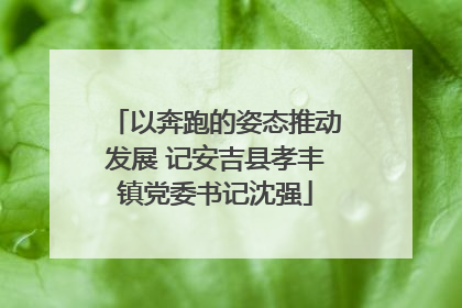 以奔跑的姿态推动发展 记安吉县孝丰镇党委书记沈强