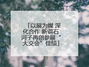 以展为媒 深化合作 新疆石河子再创参展“大交会”佳绩