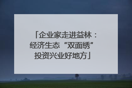 企业家走进益林：经济生态“双面绣” 投资兴业好地方