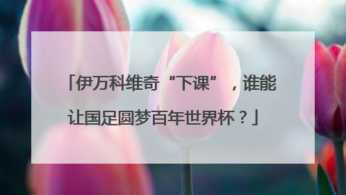 伊万科维奇“下课”，谁能让国足圆梦百年世界杯？