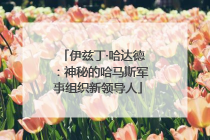 伊兹丁·哈达德：神秘的哈马斯军事组织新领导人