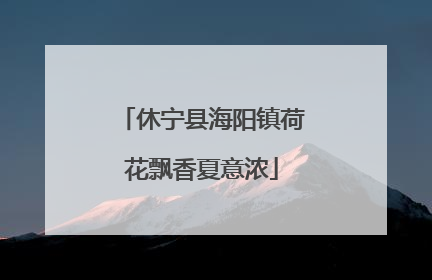 休宁县海阳镇荷花飘香夏意浓