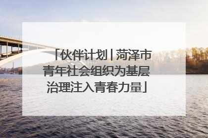 伙伴计划│菏泽市青年社会组织为基层治理注入青春力量