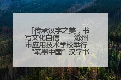 传承汉字之美，书写文化自信——滁州市应用技术学校举行“笔墨中国”汉字书写比赛表彰大会