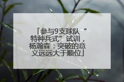 参与9支球队“特种兵式”试训，杨瀚森：突破的意义远远大于顺位