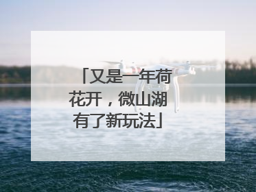 又是一年荷花开，微山湖有了新玩法