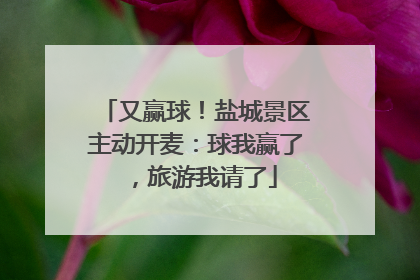 又赢球！盐城景区主动开麦：球我赢了，旅游我请了