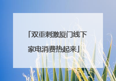 双重刺激厦门线下家电消费热起来