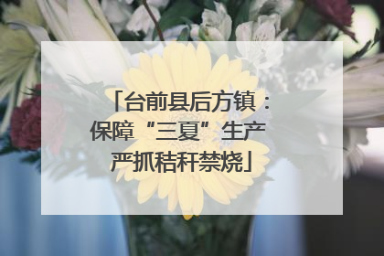 台前县后方镇：保障“三夏”生产 严抓秸秆禁烧