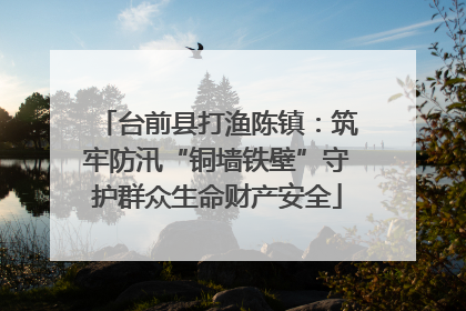 台前县打渔陈镇：筑牢防汛“铜墙铁壁”守护群众生命财产安全