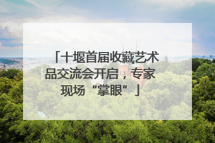 十堰首届收藏艺术品交流会开启，专家现场“掌眼”