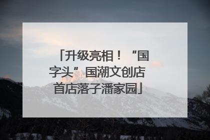 升级亮相！“国字头”国潮文创店首店落子潘家园