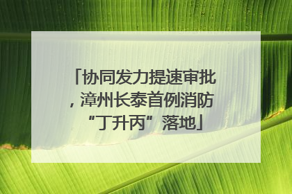 协同发力提速审批，漳州长泰首例消防“丁升丙”落地