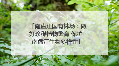 南盘江国有林场：做好珍稀植物繁育 保护南盘江生物多样性