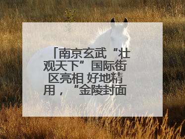 南京玄武“壮观天下”国际街区亮相 好地精用，“金陵封面”焕新通四海