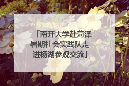 南开大学赴菏泽暑期社会实践队走进杨湖参观交流
