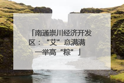 南通崇川经济开发区：“艾”意满满 一举高“粽”