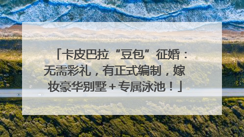 卡皮巴拉“豆包”征婚：无需彩礼，有正式编制，嫁妆豪华别墅＋专属泳池！