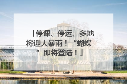 停课、停运、多地将迎大暴雨！“蝴蝶”即将登陆！