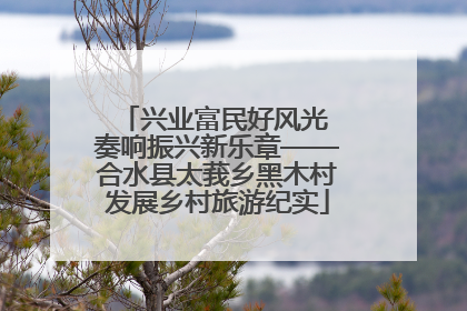 兴业富民好风光 奏响振兴新乐章——合水县太莪乡黑木村发展乡村旅游纪实