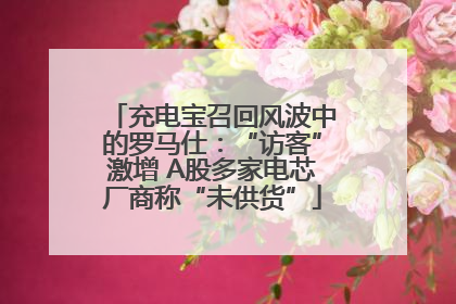 充电宝召回风波中的罗马仕：“访客”激增 A股多家电芯厂商称“未供货”