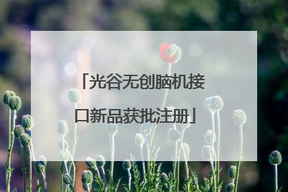 光谷无创脑机接口新品获批注册