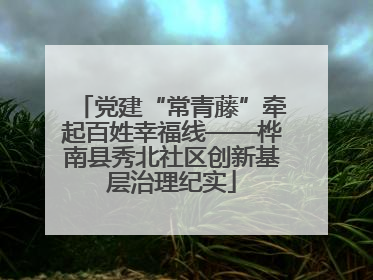 党建“常青藤”牵起百姓幸福线——桦南县秀北社区创新基层治理纪实