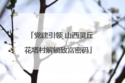 党建引领 山西灵丘花塔村解锁致富密码