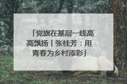 党旗在基层一线高高飘扬丨张桂芳：用青春为乡村添彩