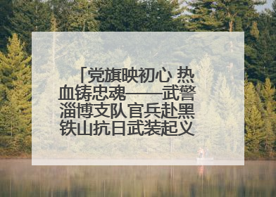 党旗映初心 热血铸忠魂——武警淄博支队官兵赴黑铁山抗日武装起义纪念馆开展“七一”主题党日活动