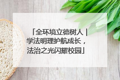 全环境立德树人｜学法明理护航成长，法治之光闪耀校园