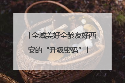全域美好全龄友好西安的“升级密码”