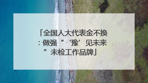 全国人大代表金不换：做强“‘豫’见未来”未检工作品牌