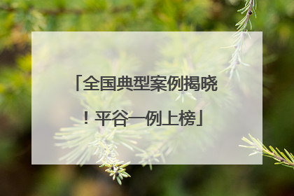 全国典型案例揭晓！平谷一例上榜