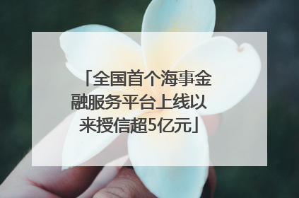 全国首个海事金融服务平台上线以来授信超5亿元