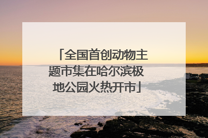 全国首创动物主题市集在哈尔滨极地公园火热开市