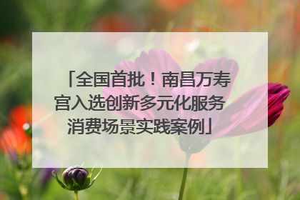 全国首批！南昌万寿宫入选创新多元化服务消费场景实践案例