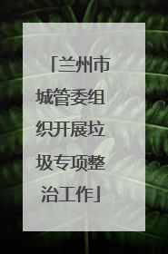 兰州市城管委组织开展垃圾专项整治工作