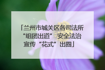 兰州市城关区各司法所“组团出道” 安全法治宣传“花式”出圈