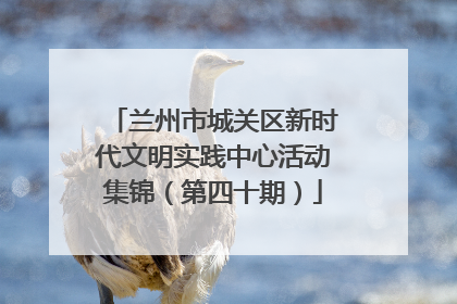 兰州市城关区新时代文明实践中心活动集锦（第四十期）