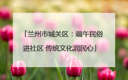 兰州市城关区:端午民俗进社区 传统文化润民心