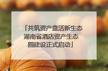 共筑资产盘活新生态 湖南省酒店资产生态圈建设正式启动