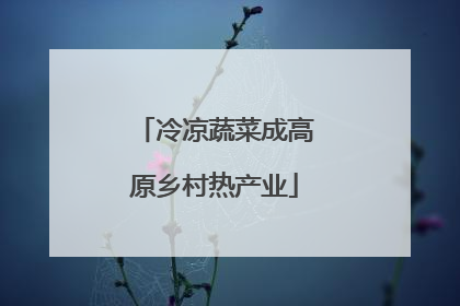 冷凉蔬菜成高原乡村热产业