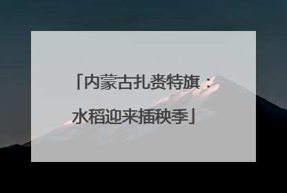 内蒙古扎赉特旗：水稻迎来插秧季