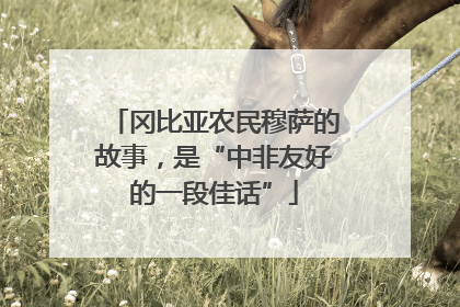 冈比亚农民穆萨的故事，是“中非友好的一段佳话”