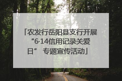 农发行岳阳县支行开展“6·14信用记录关爱日” 专题宣传活动